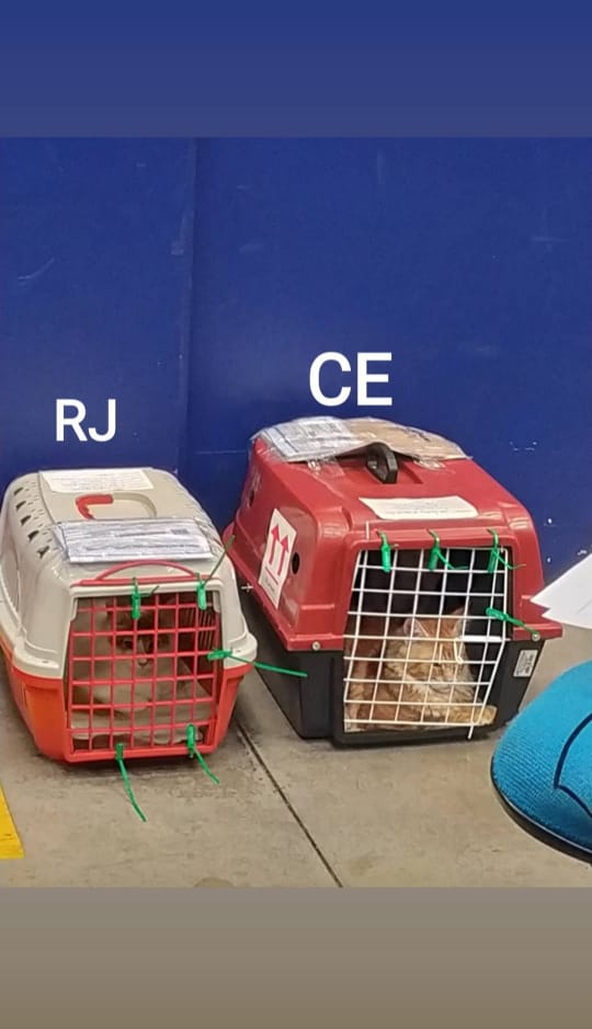 WhatsApp Image 2022-12-22 at 20.37.19.jpeg