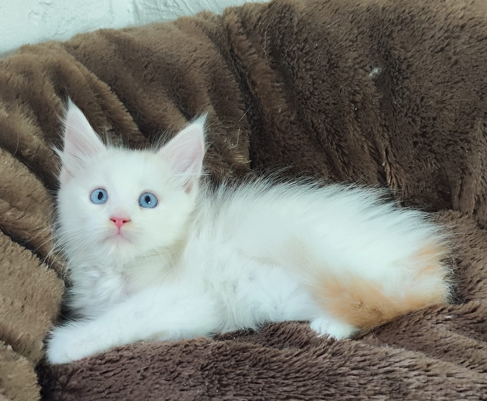 WhatsApp Image 2024-06-17 at 14.22.57 (2).jpeg