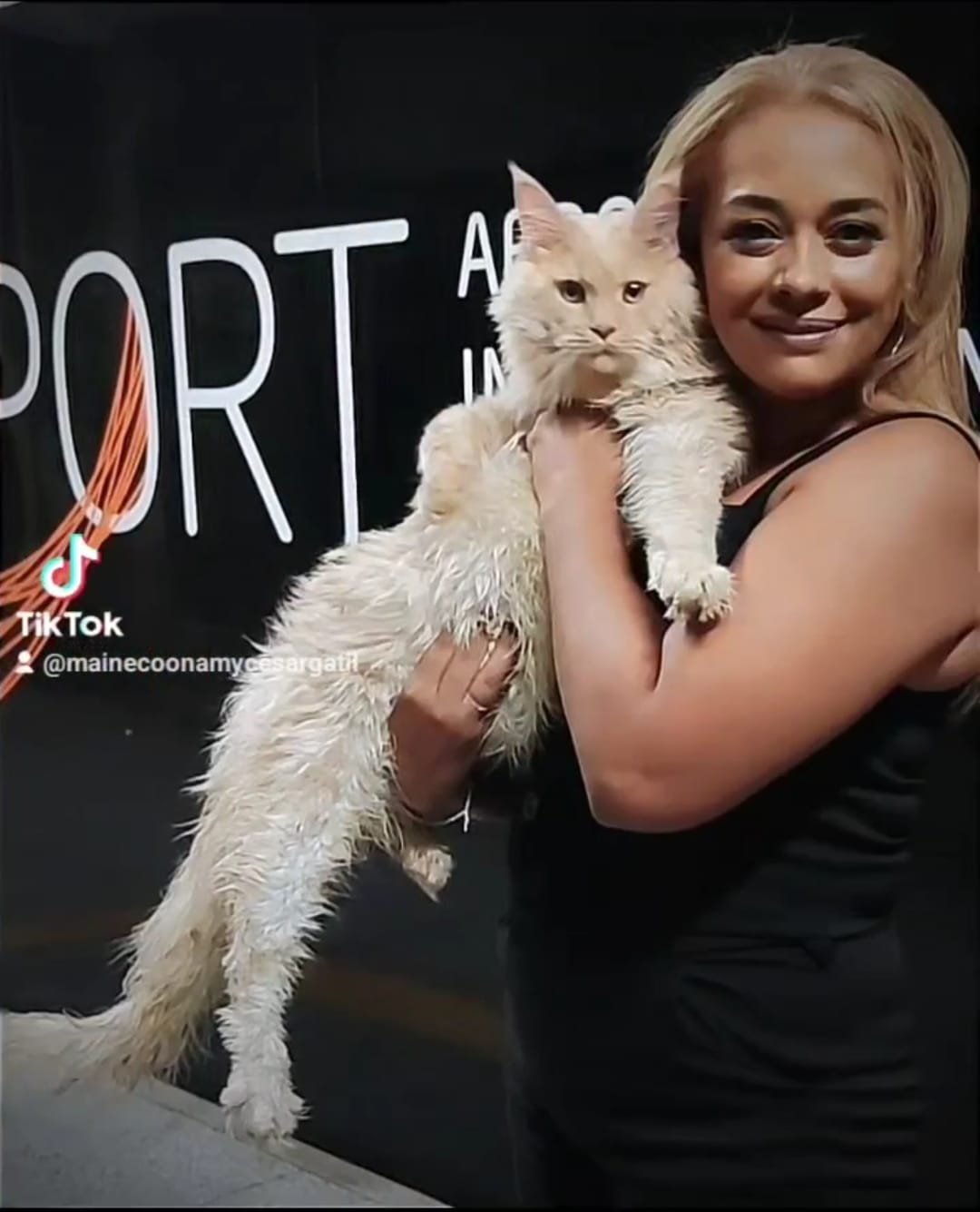 WhatsApp Image 2024-06-17 at 15.05.30.jpeg