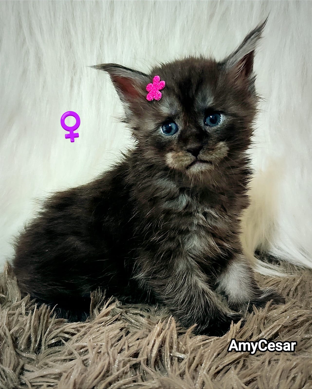 WhatsApp Image 2024-06-17 at 14.22.57 (1).jpeg