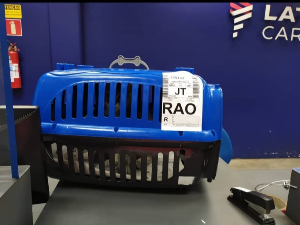 WhatsApp Image 2022-12-22 at 20.37.19 (3).jpeg