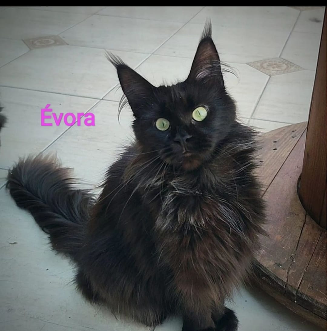 WhatsApp Image 2024-06-17 at 14.47.30 (1).jpeg