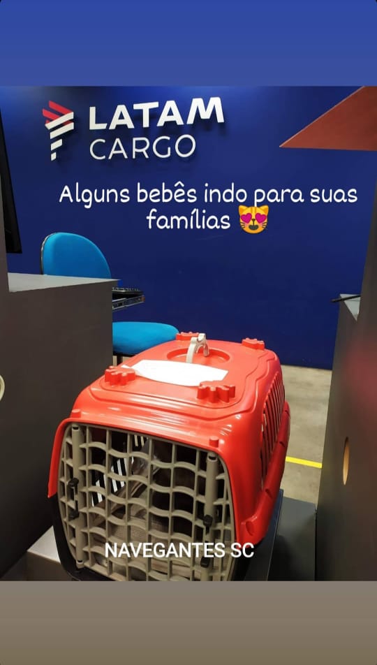 WhatsApp Image 2022-12-22 at 20.37.20.jpeg