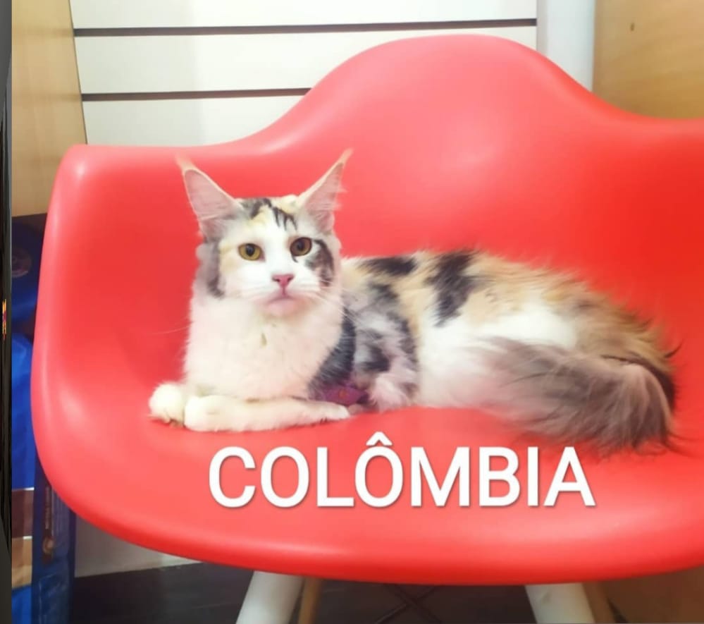 WhatsApp Image 2022-12-22 at 20.37.16.jpeg