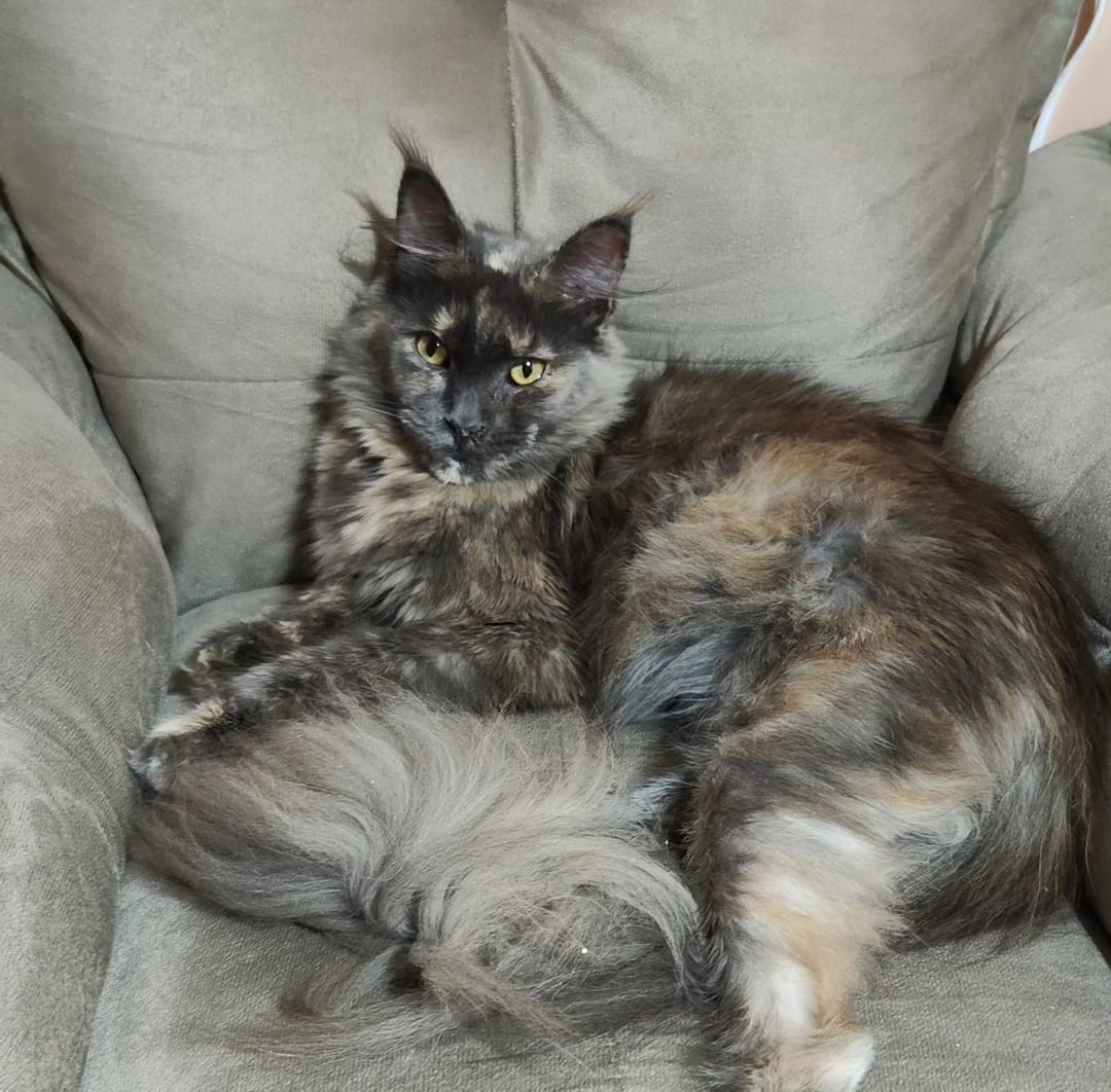 WhatsApp Image 2024-06-17 at 14.47.28 (2).jpeg