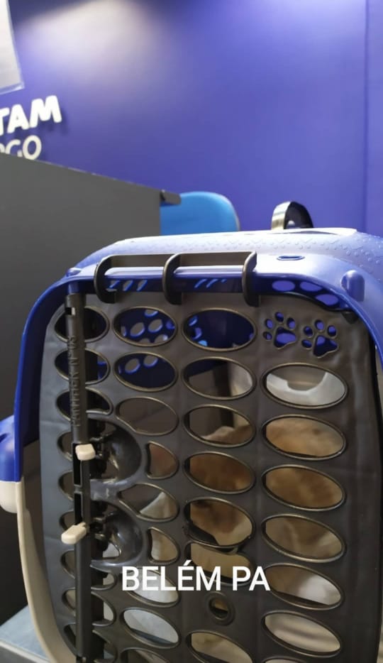 WhatsApp Image 2022-12-22 at 20.37.20 (1).jpeg