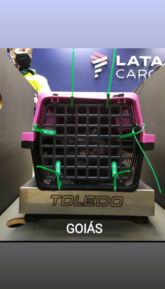 WhatsApp Image 2022-12-22 at 20.37.17.jpeg