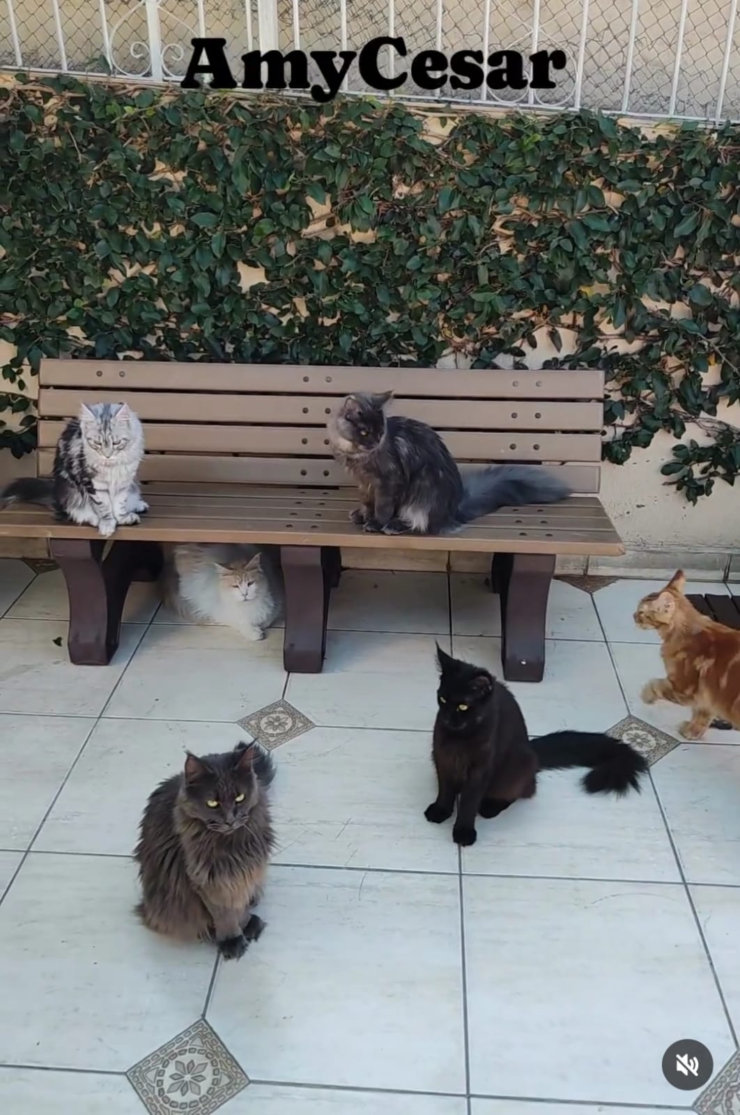 WhatsApp Image 2024-06-17 at 14.47.31.jpeg