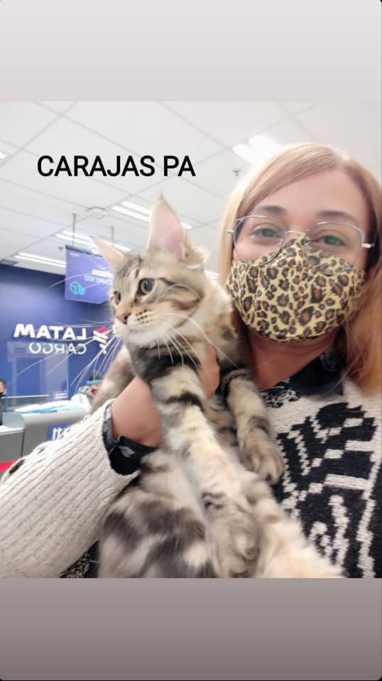 WhatsApp Image 2022-12-22 at 20.37.19 (1).jpeg