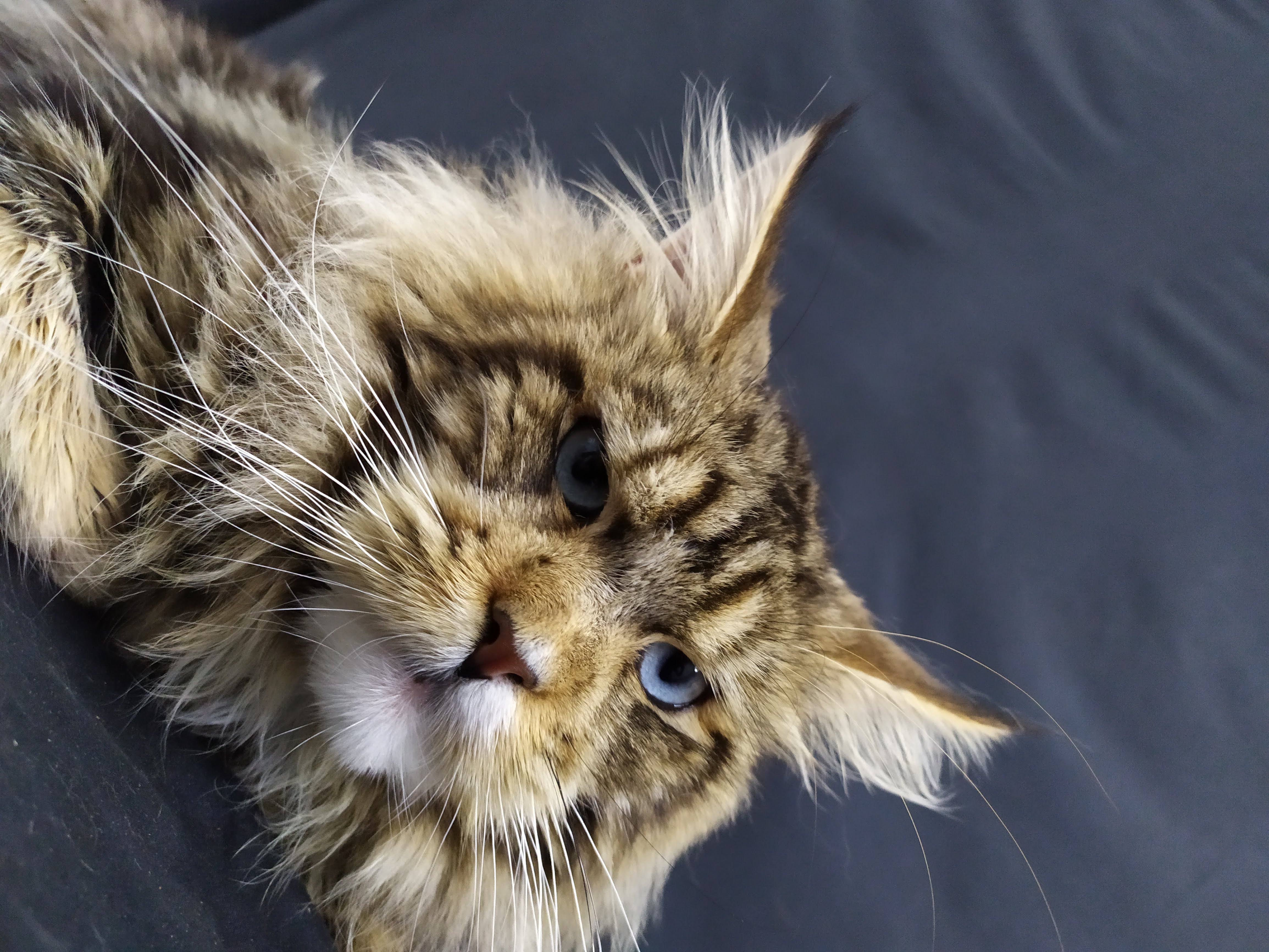 IMG_20220818_160835 (1).jpg