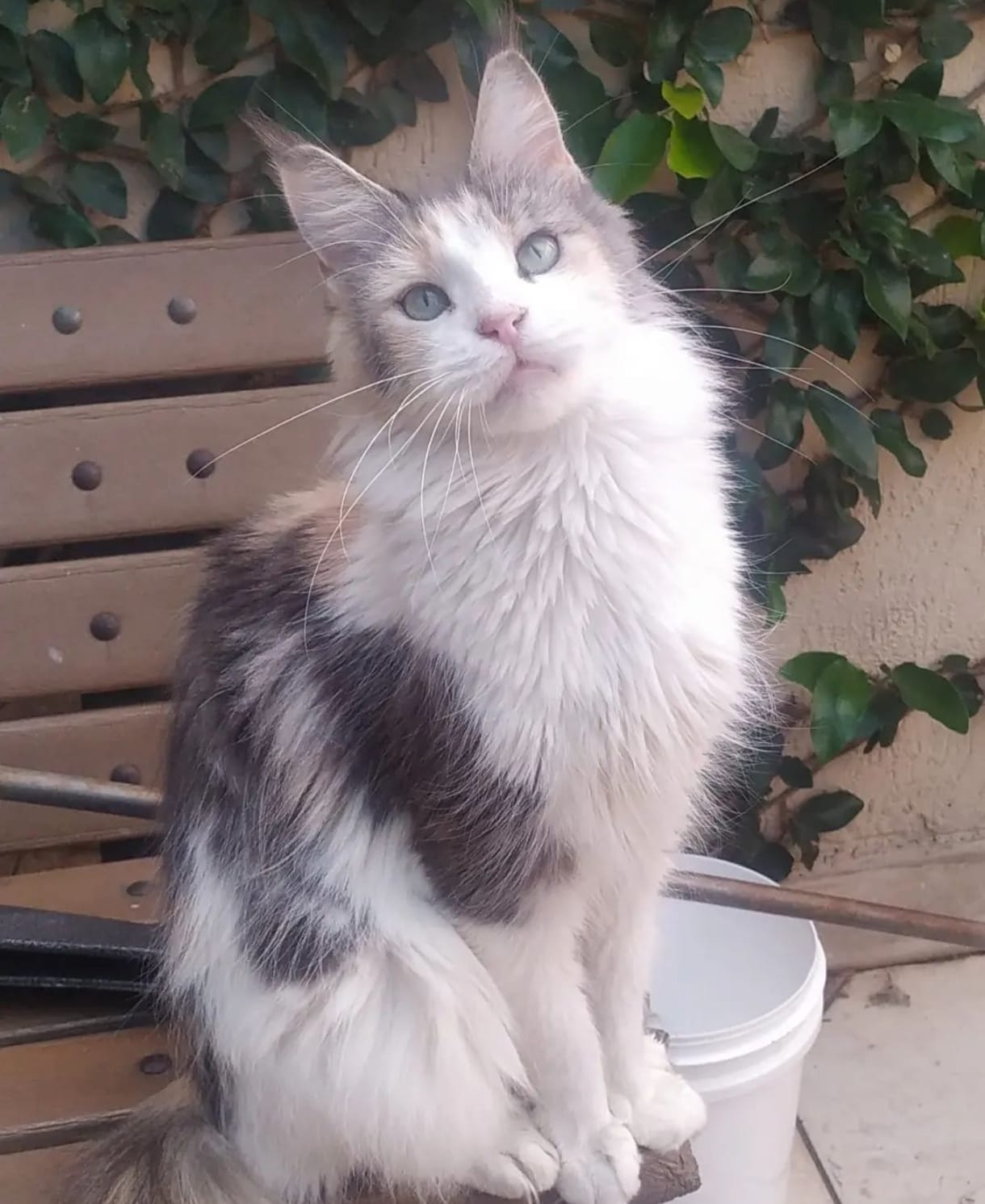 WhatsApp Image 2024-06-17 at 14.47.30.jpeg