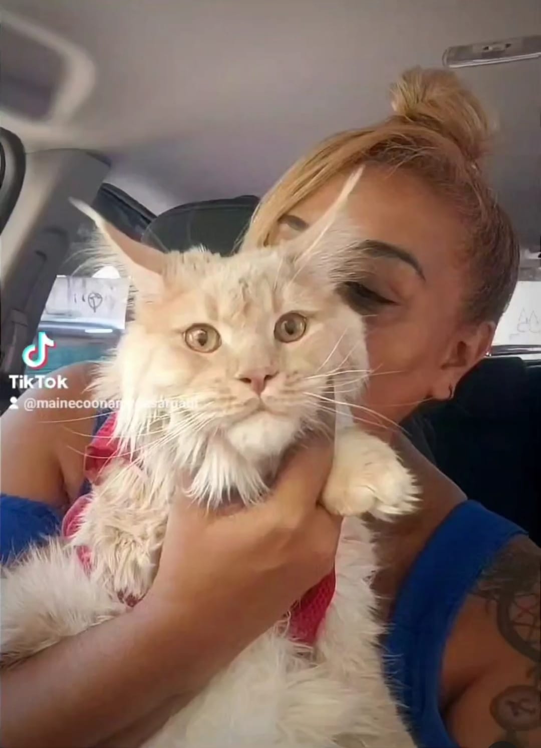 WhatsApp Image 2024-06-17 at 15.05.30 (1).jpeg