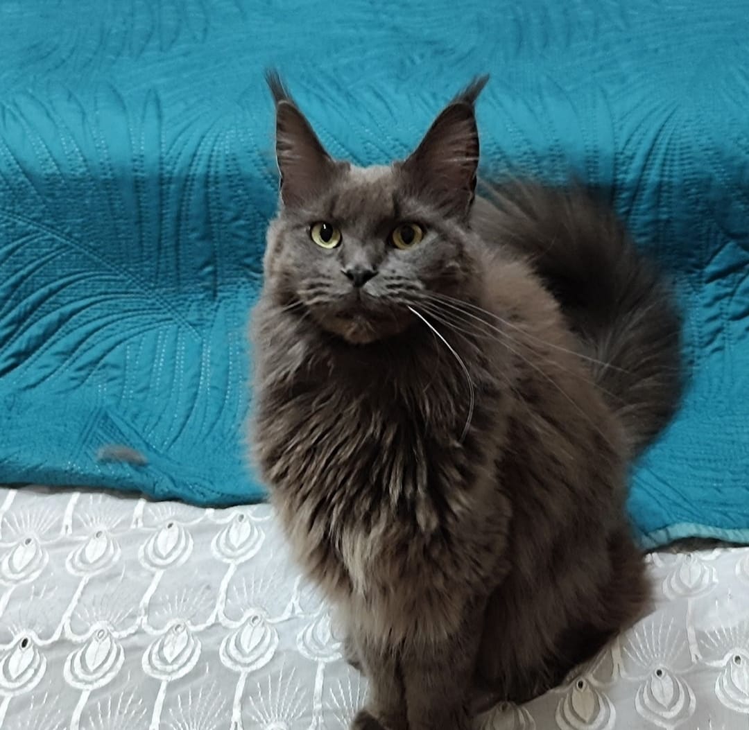 WhatsApp Image 2024-06-17 at 14.47.31 (1).jpeg