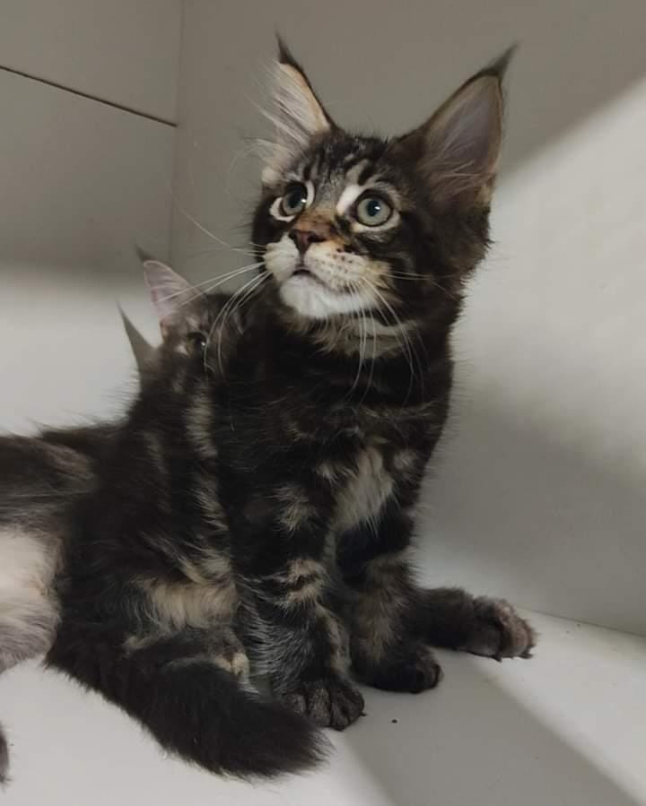 WhatsApp Image 2024-06-17 at 14.22.58.jpeg