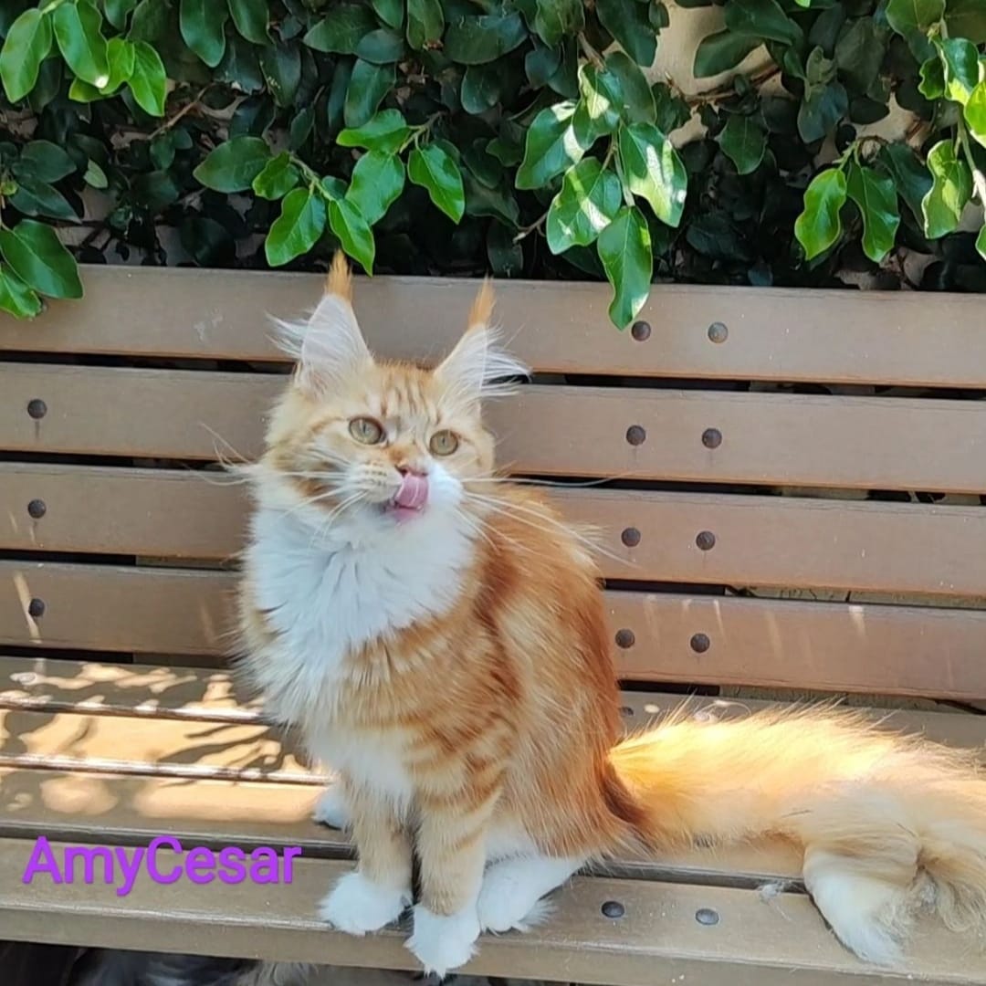 WhatsApp Image 2024-06-17 at 14.47.28 (1).jpeg