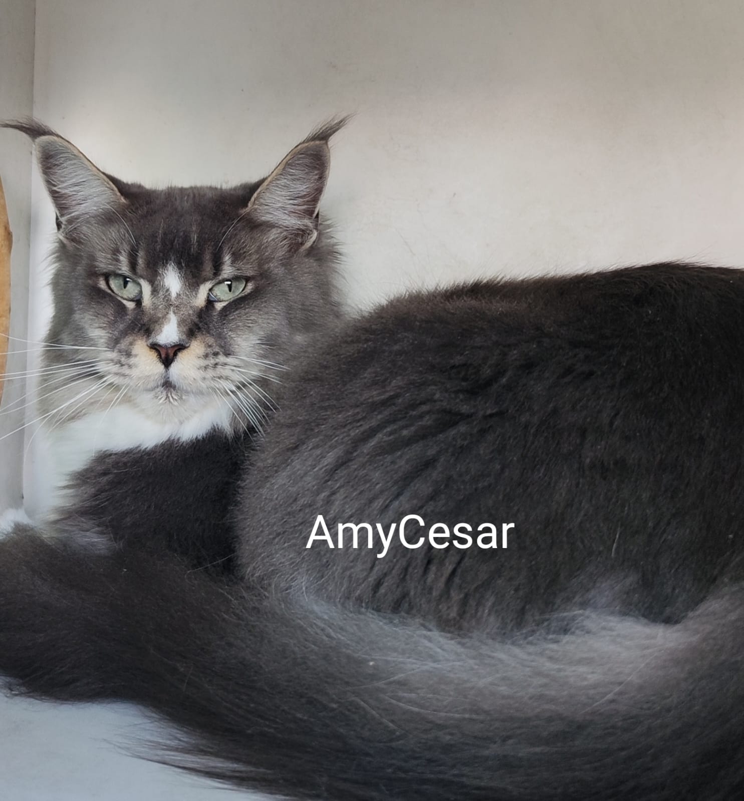 WhatsApp Image 2024-06-17 at 14.47.29 (2).jpeg